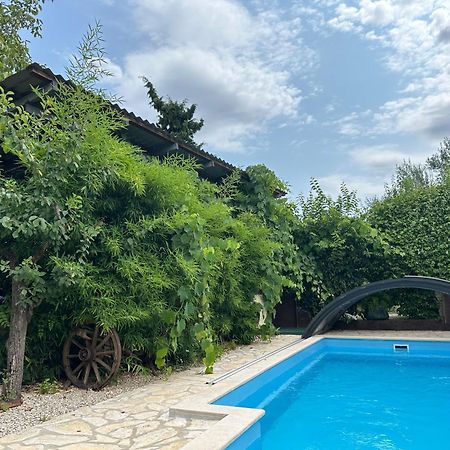 Bokalu With Private Pool Lägenhet Poreč Exteriör bild